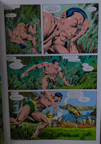 Le lundi c'est librairie ! Namor