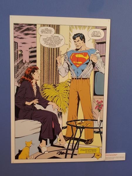 Expo Superman (salon du livre 2013)
