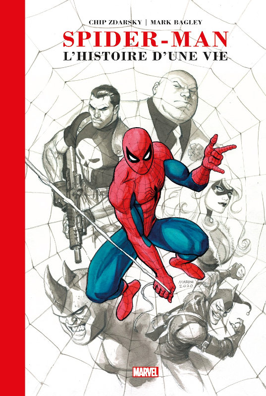 Panini Comics : Spider-Man l'histoire d'une vie